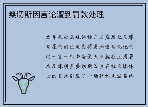 桑切斯因言论遭到罚款处理
